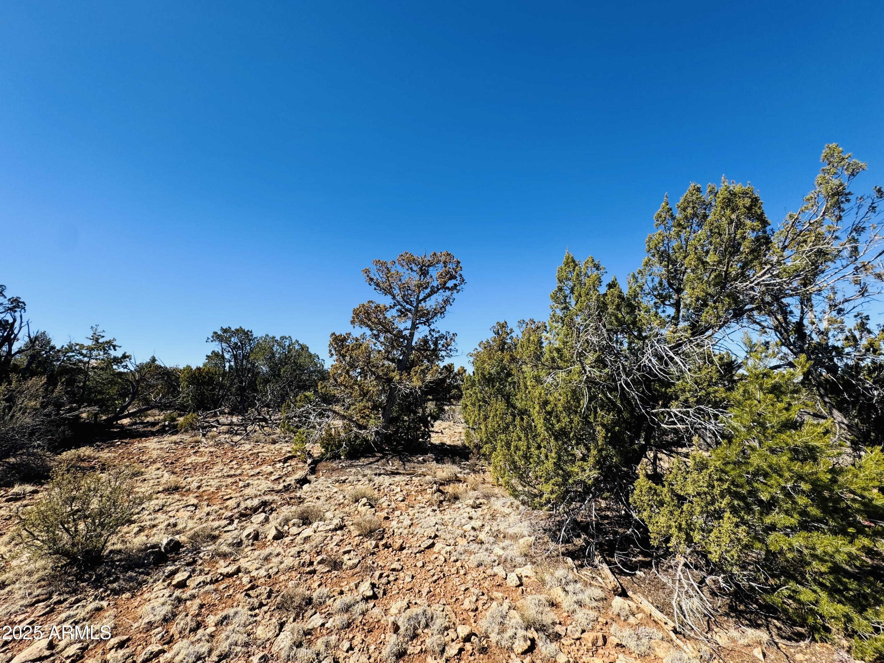 4108 Sunset Ridge Loop, Unit 135 Happy Jack, AZ 86024 - Photo 17 of 19 a view of a bunch of trees and bushes