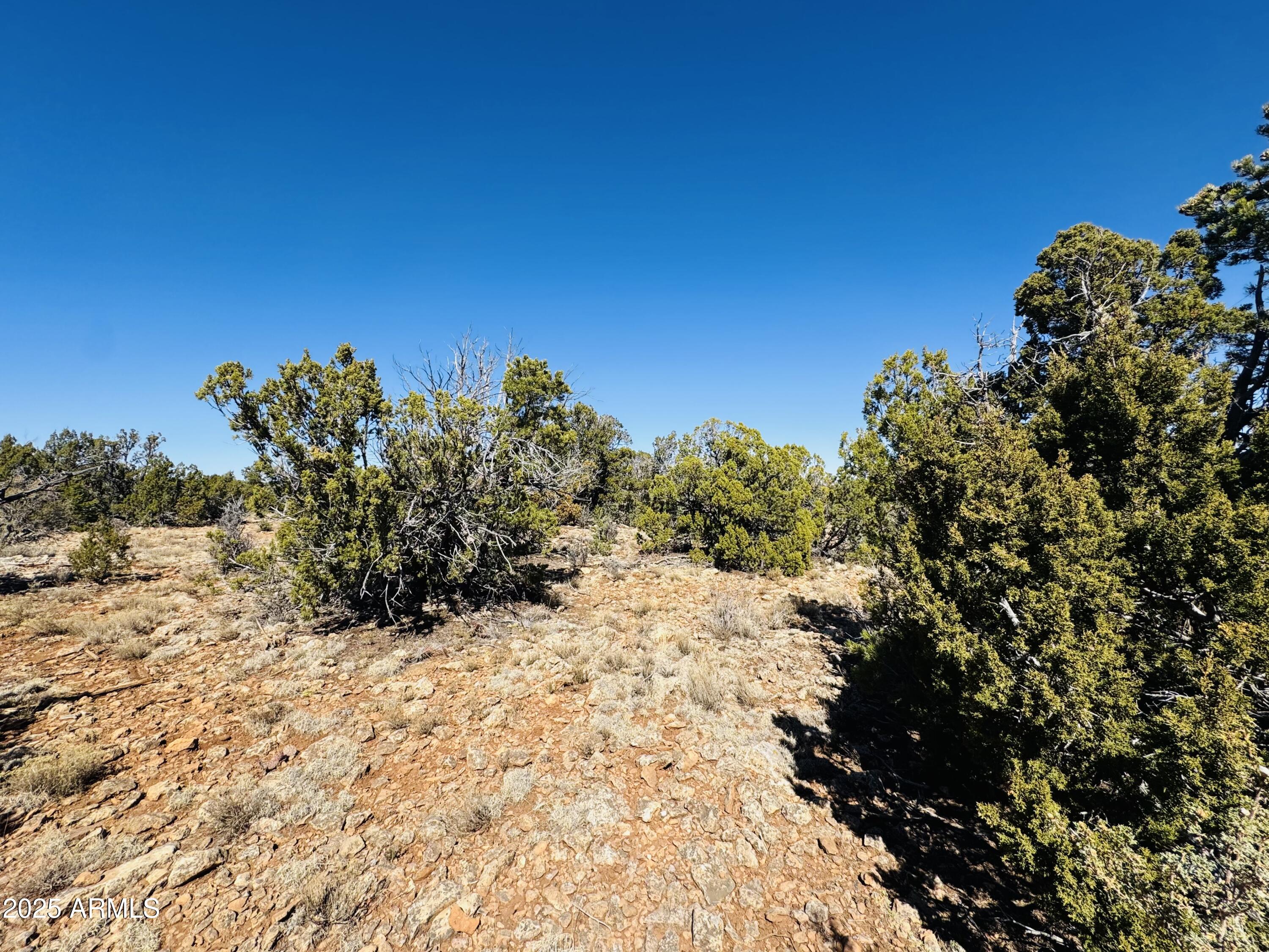 4108 Sunset Ridge Loop, Unit 135 Happy Jack, AZ 86024 - Photo 18 of 19 a view of a snow on a field