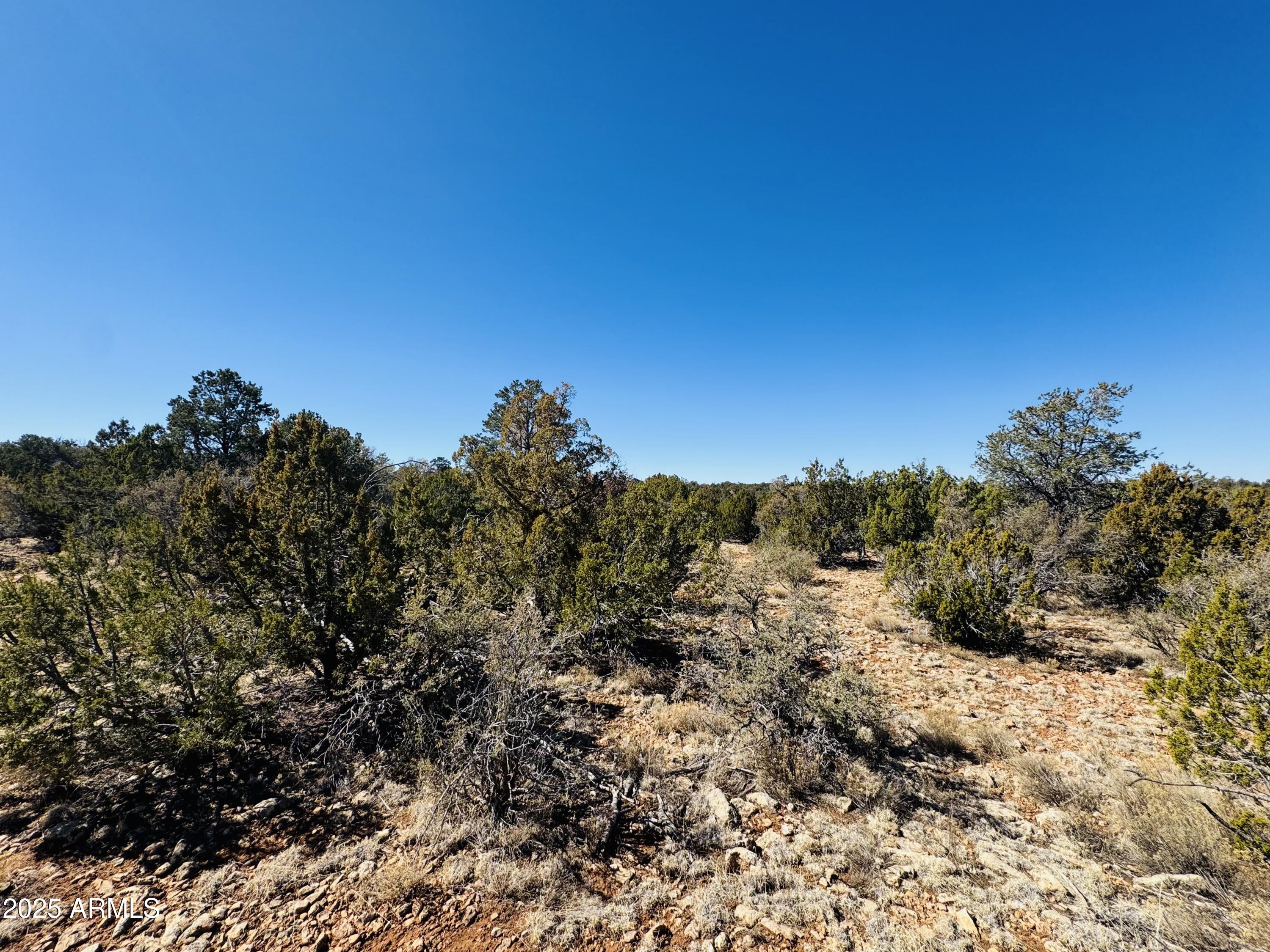 4108 Sunset Ridge Loop, Unit 135 Happy Jack, AZ 86024 - Photo 2 of 19 a view of a dry yard with a tree in the background