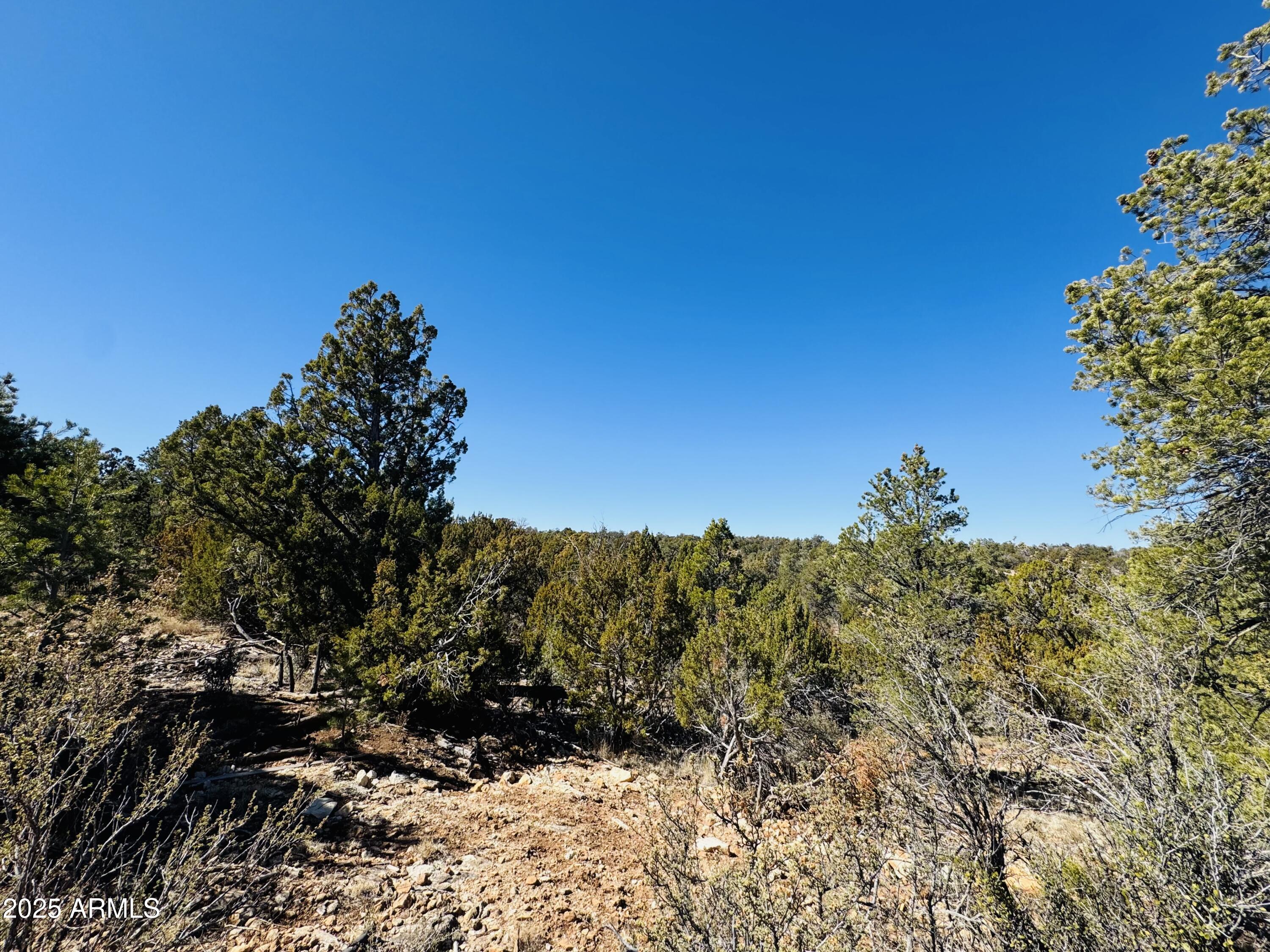 4108 Sunset Ridge Loop, Unit 135 Happy Jack, AZ 86024 - Photo 3 of 19 a view of a tree with a yard