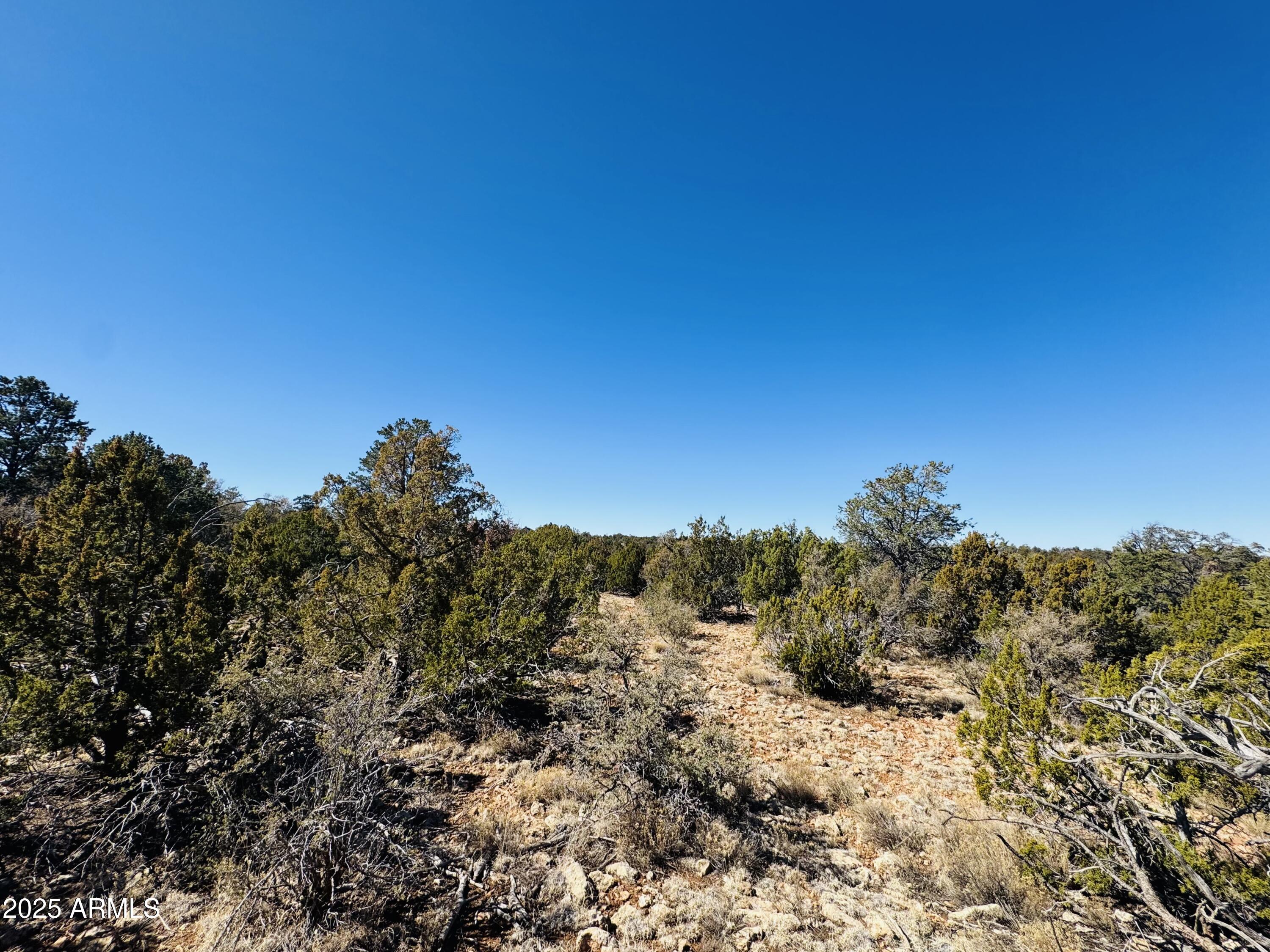 4108 Sunset Ridge Loop, Unit 135 Happy Jack, AZ 86024 - Photo 4 of 19 a view of mountain view with large trees
