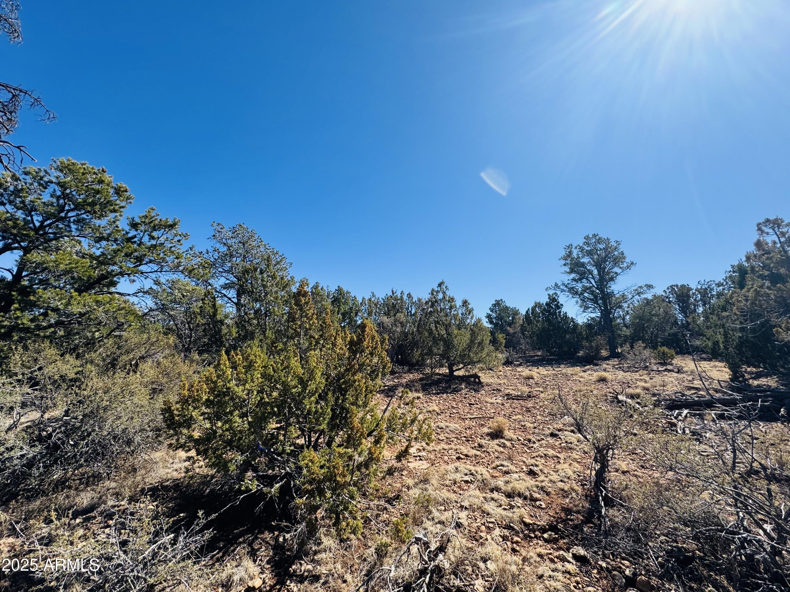 4108 Sunset Ridge Loop, Unit 135 Happy Jack, AZ 86024 - Photo 6 of 19 a view of a covered with trees in the background
