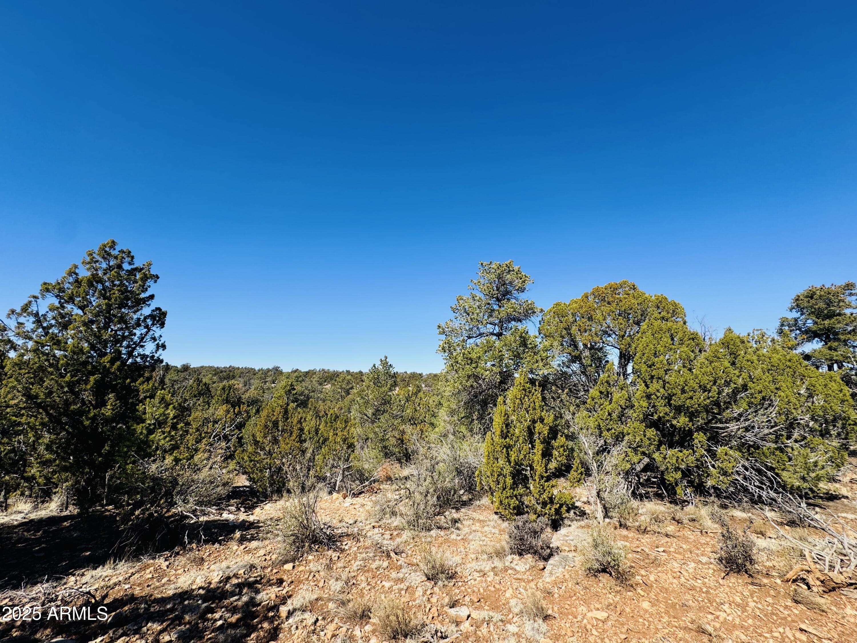 4108 Sunset Ridge Loop, Unit 135 Happy Jack, AZ 86024 - Photo 10 of 19 a view of a large building with a mountain in the background
