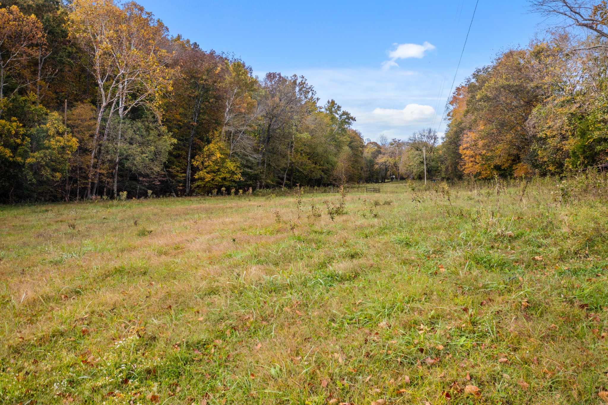 0 Buck Smith Palmyra, TN 37142 - Photo 5 of 10 a view of empty room with wooden fence