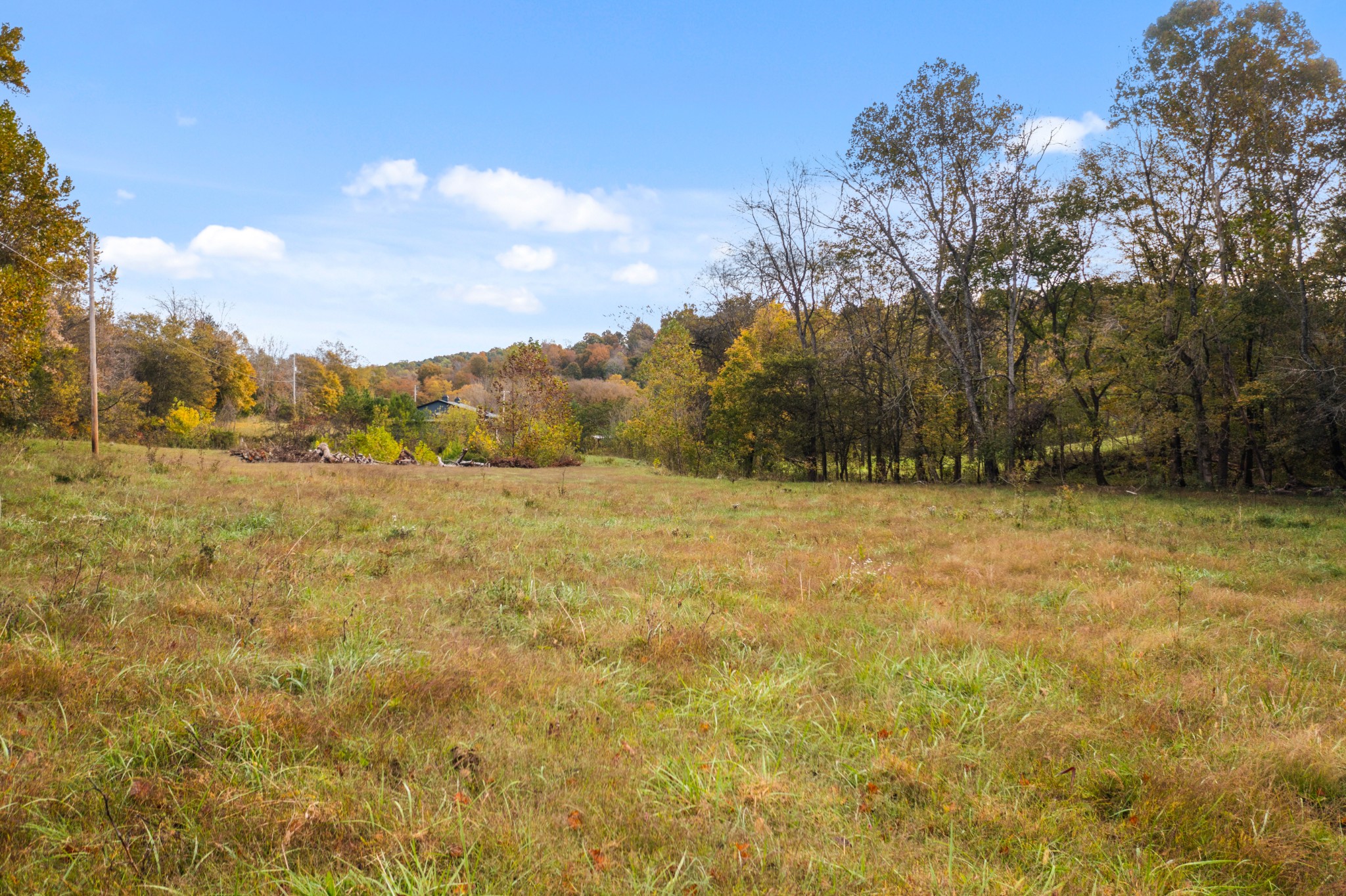 0 Buck Smith Palmyra, TN 37142 - Photo 7 of 10 a view of a yard with trees in the background