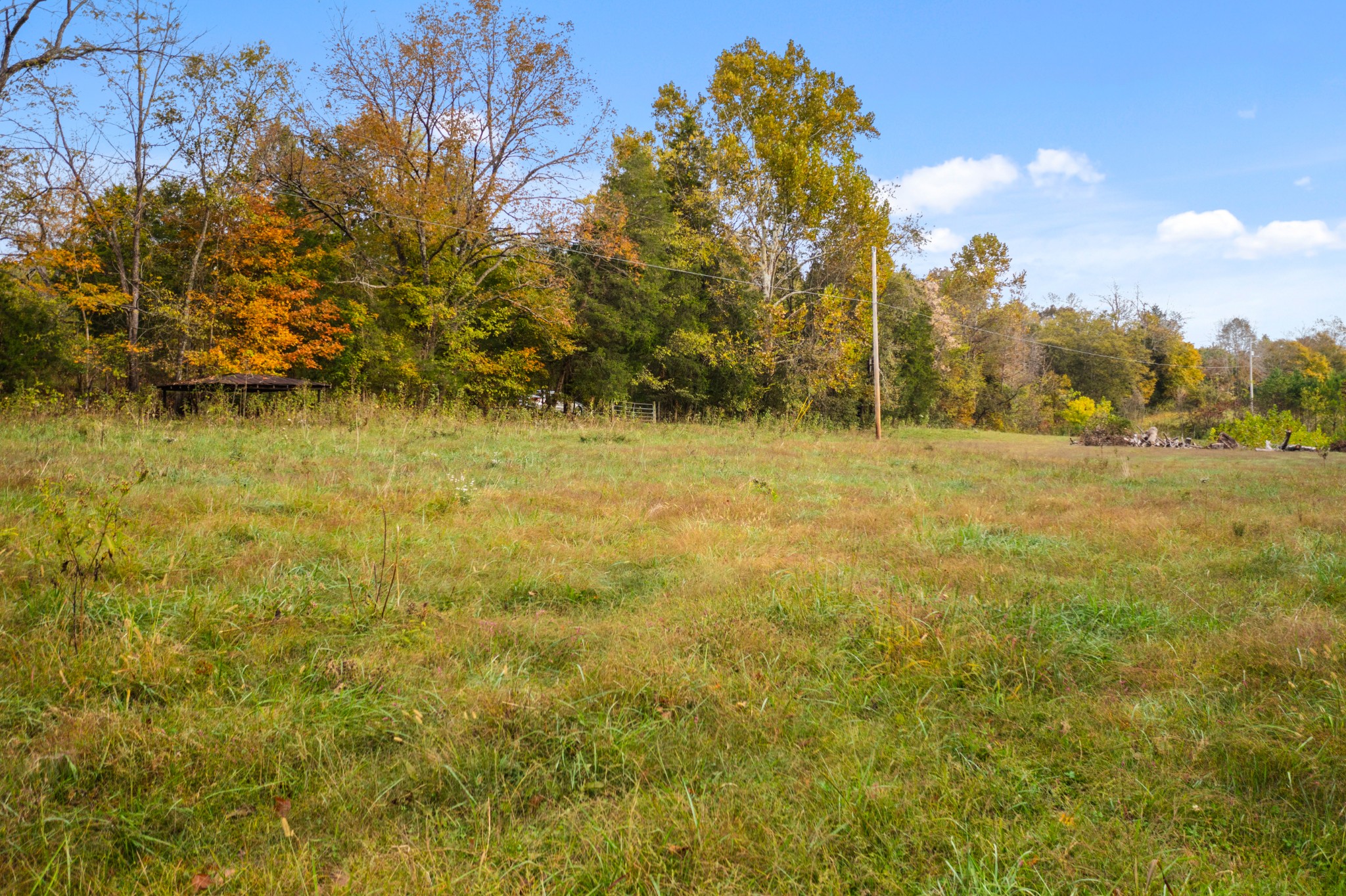 0 Buck Smith Palmyra, TN 37142 - Photo 8 of 10 a view of ocean