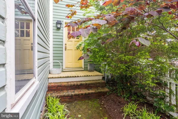 a plant that is in front of a house