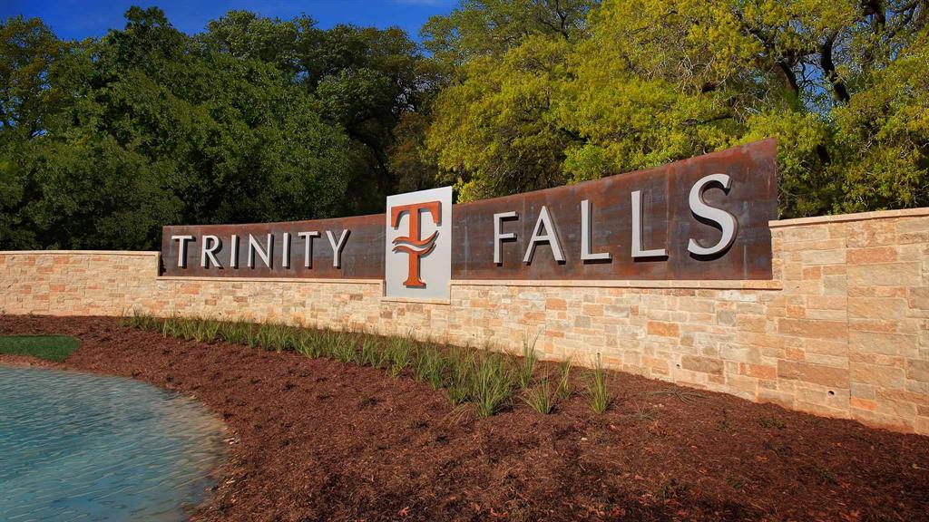 325 Bee Balm Road McKinney, TX 75071 - Photo 6 of 10