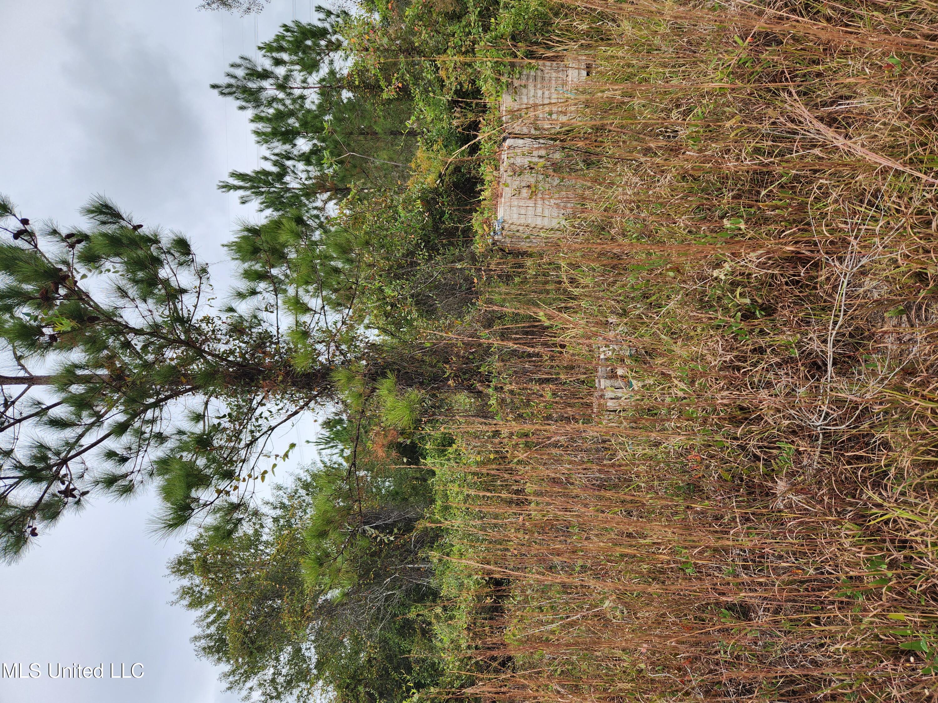 Skinner Court Saucier, MS 39574 - Photo 1 of 2 Good location, nice lot size