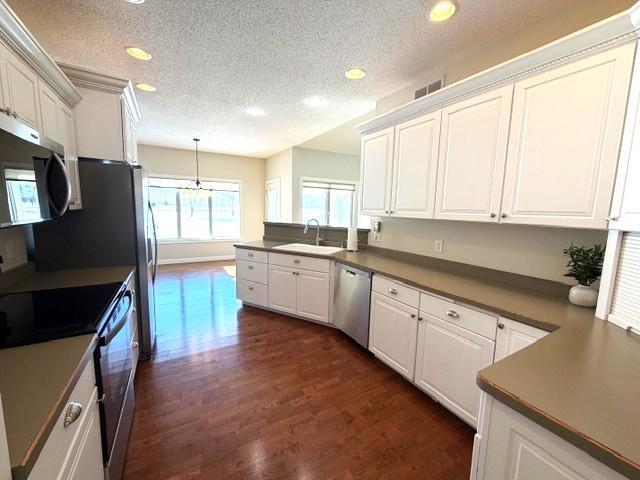 417 Golf Terrace Litchfield, MN 55355 - Photo 4 of 48