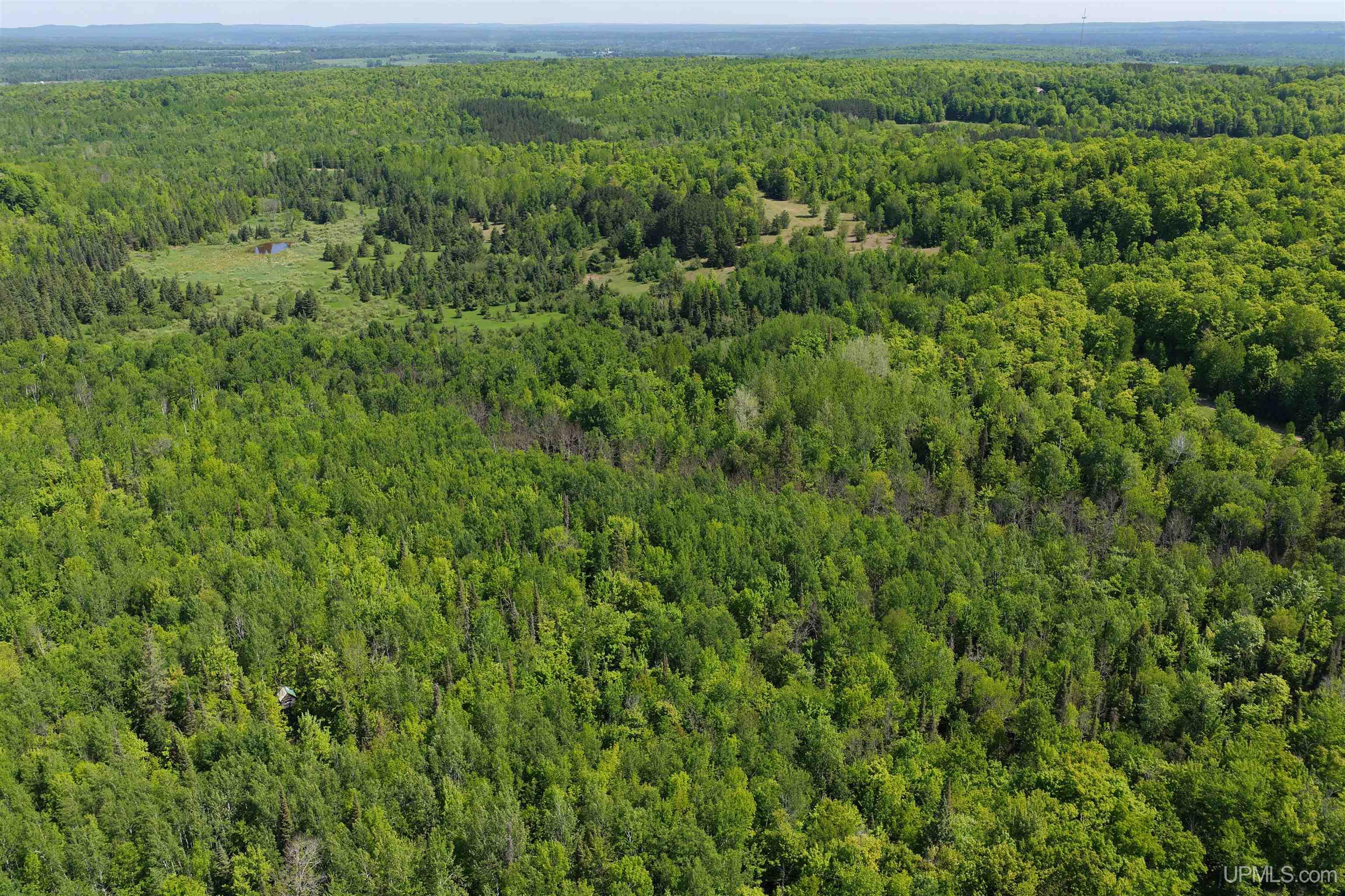 13241 Nurkkala Road Bruce Crossing, MI 49912 - Photo 34 of 34
