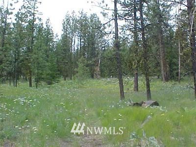 160 Fs 3525 Road Tonasket, WA 98855 - Photo 1 of 1 Gallery Image 1