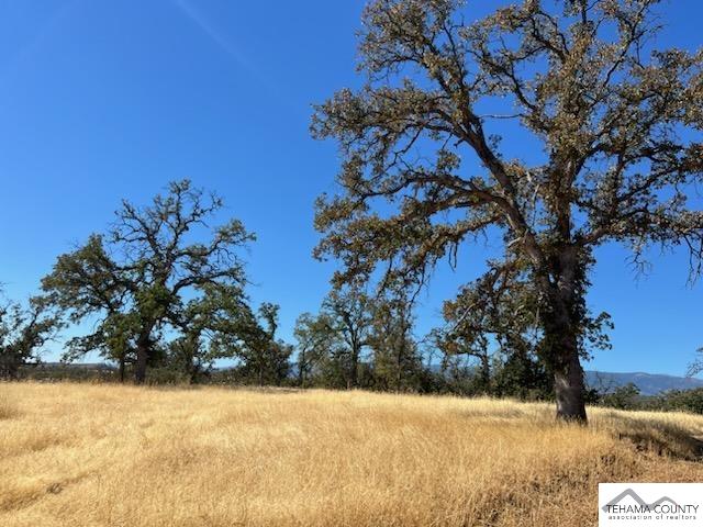 Dead Cow Creek Road Red Bluff, CA 96080 - Photo 8 of 10