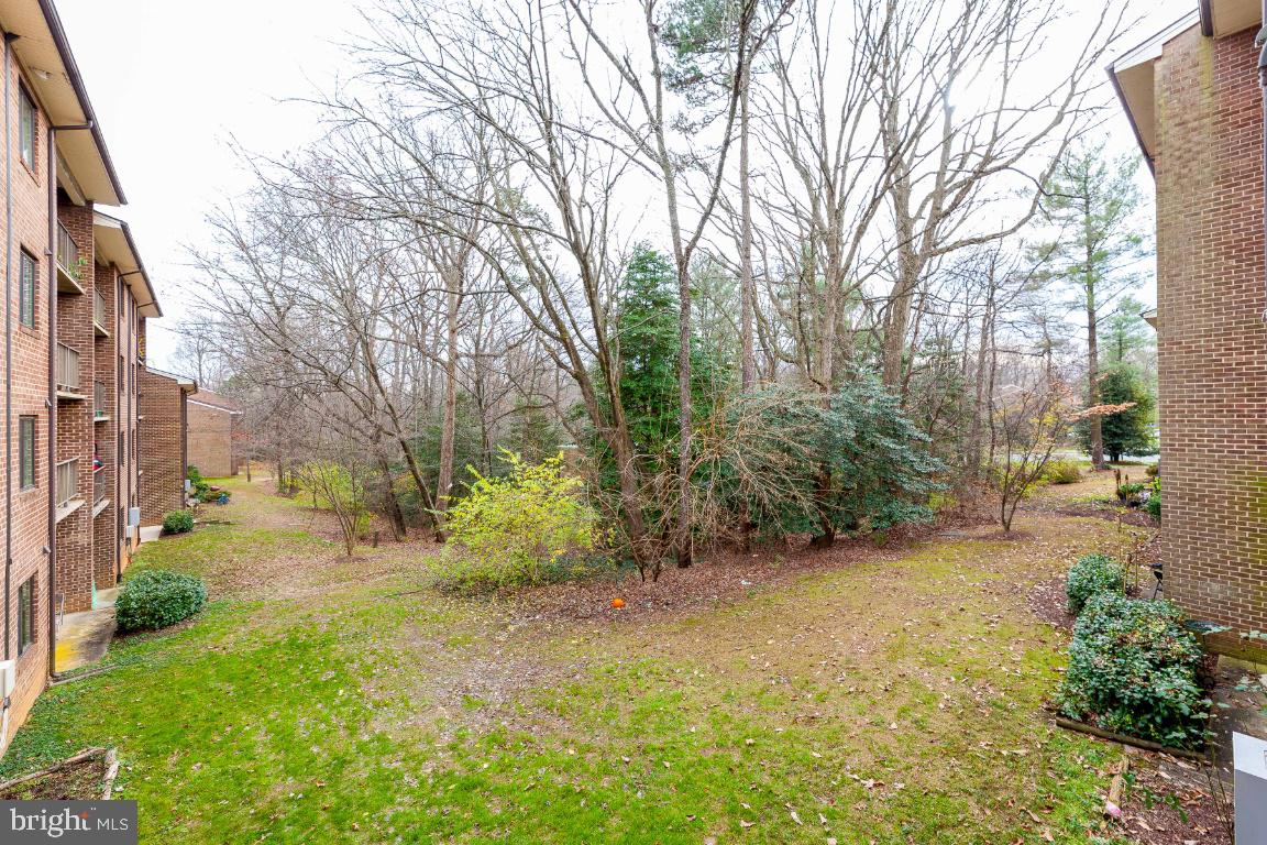 1405 Northgate Square, Unit 11C Reston, VA 20190 - Photo 30 of 31 Peaceful View