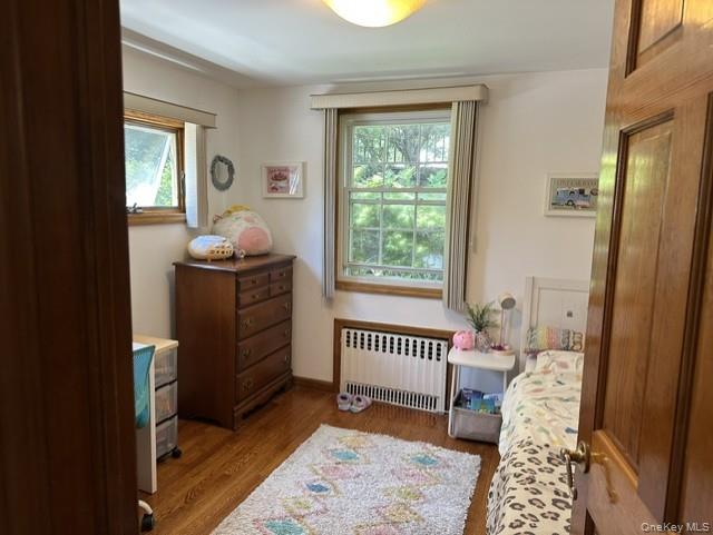 100 Rockywood Road Manhasset, NY 11030 - Photo 14 of 19