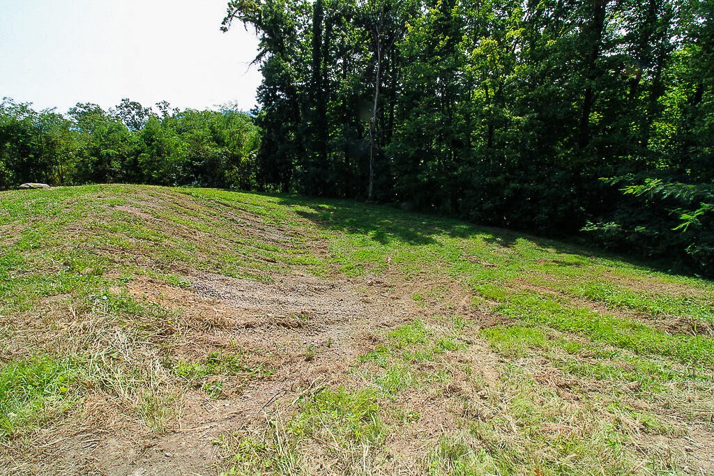 1468 Laurel Road Gatlinburg, TN 37738 - Photo 19 of 40 Gallery Image 19