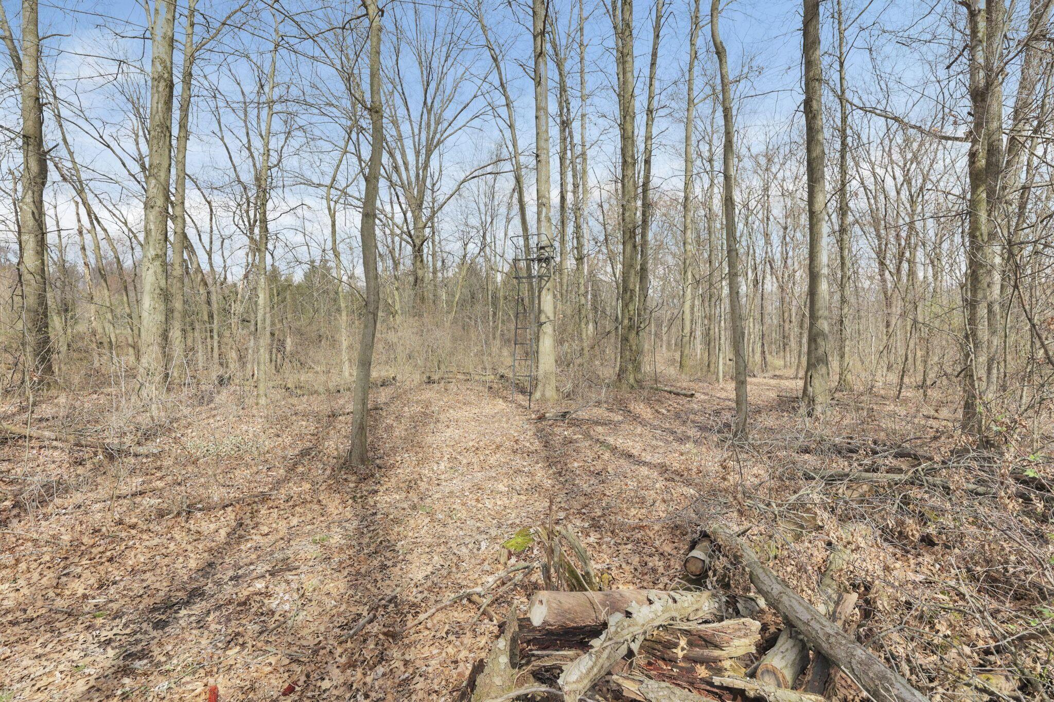 1133 Shearer Road Galion, OH 44833 - Photo 72 of 88 26