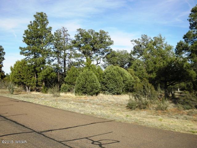2853 Four Points Point Overgaard, AZ 85933 - Photo 9 of 14