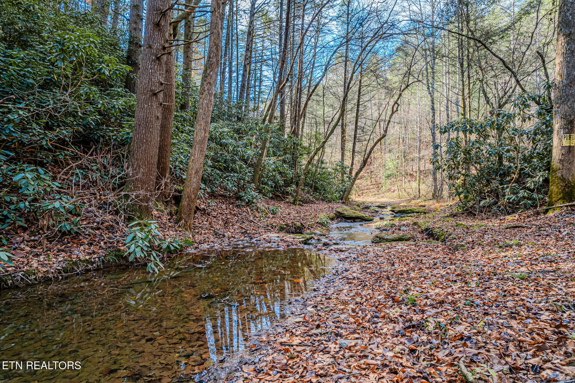 0 Pond Ridge Road Tellico Plains, TN 37385 - Photo 27 of 32