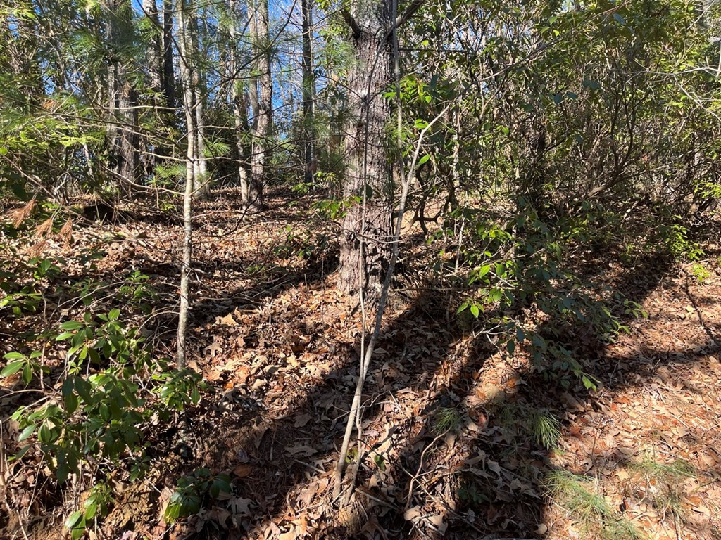 Tbd Cp Crk Road Murphy, NC 28906 - Photo 2 of 14