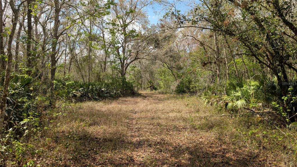 Gillette Road Zolfo Springs, FL 33890 - Photo 19 of 86 Gallery Image 19