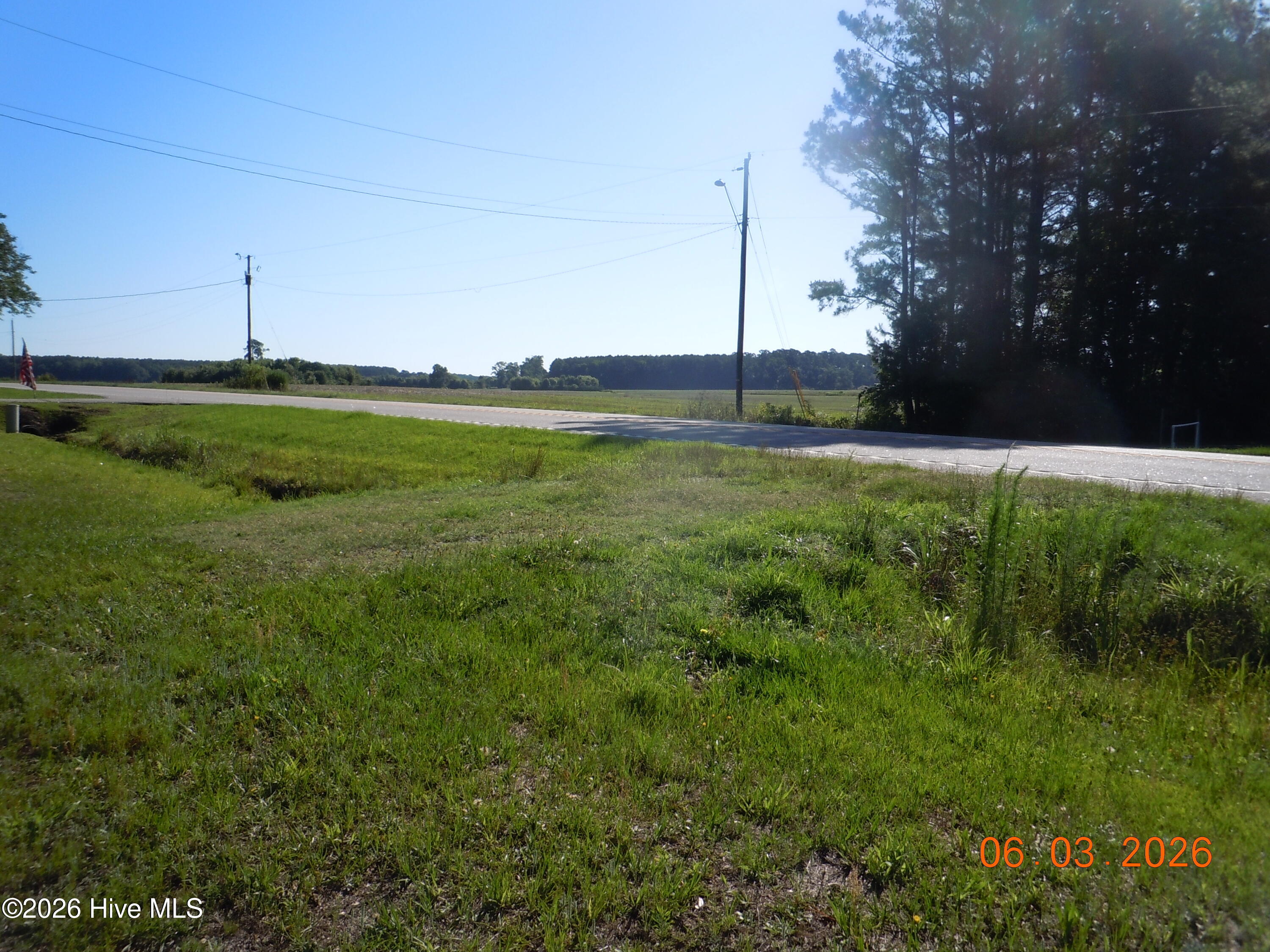 29 Ridge Drive Tabor City, NC 28463 - Photo 3 of 3 Driveway on Joe Brown Hwy. side