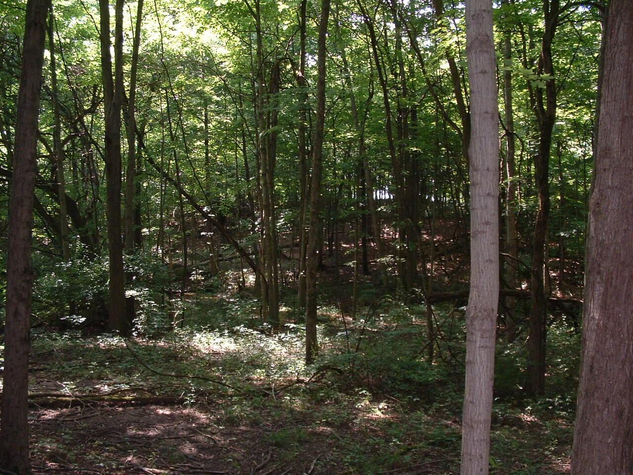 9311 Jug St Road Northwest Pataskala, OH 43062 - Photo 73 of 83 DSCF0055