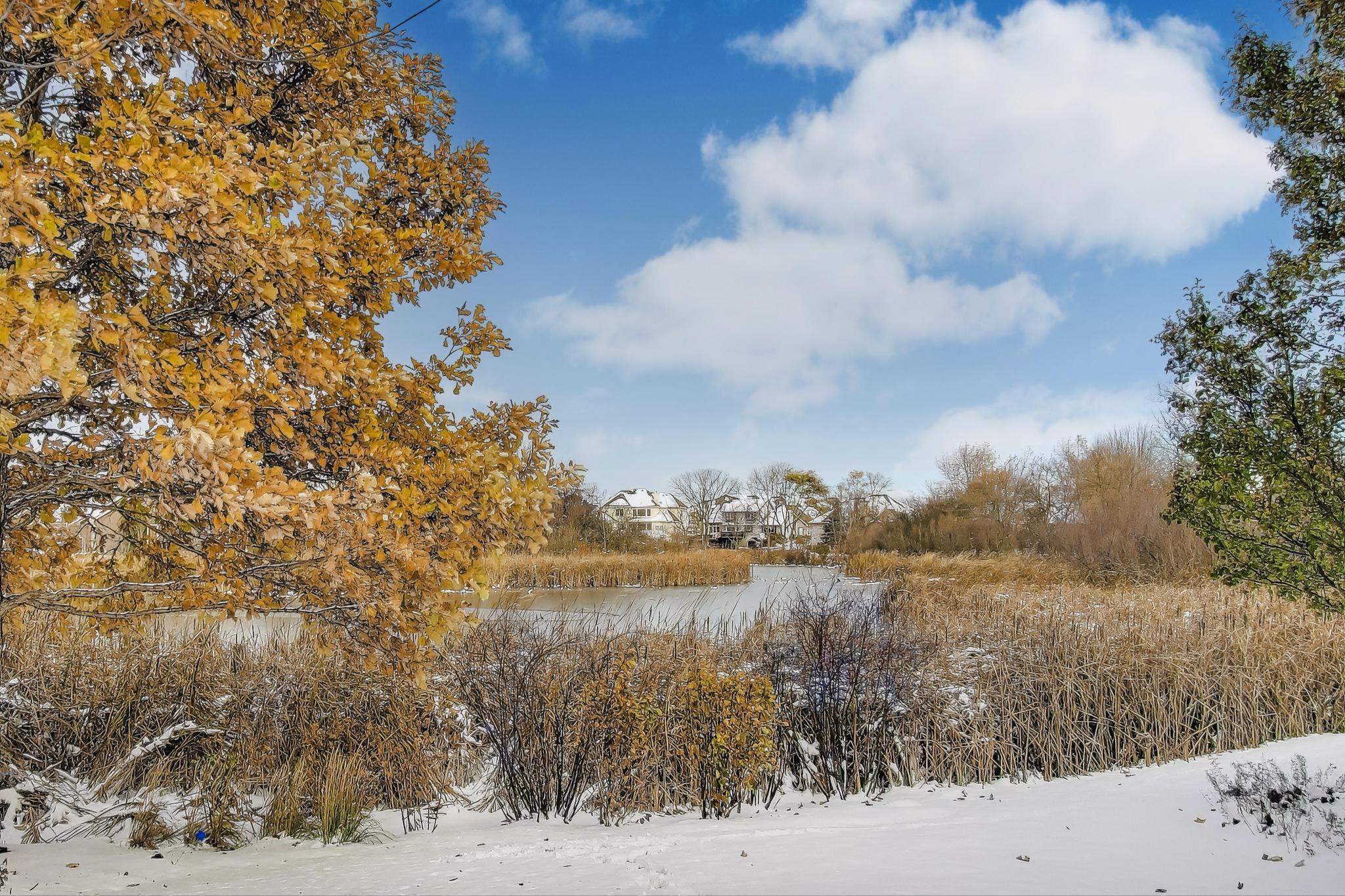 8443 Northview Drive Pleasant Prairie, WI 53158 - Photo 67 of 73 Backyard