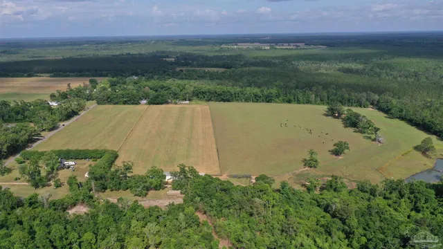 an aerial view of a houses with a yard