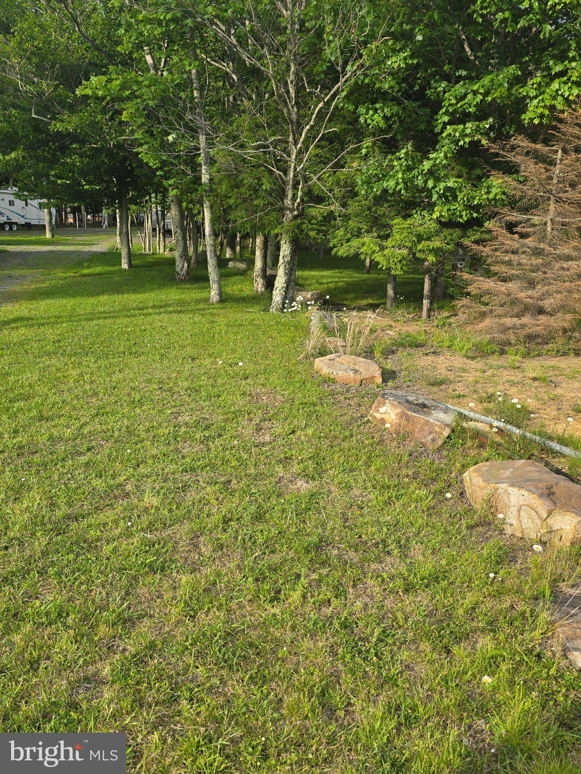 700 Paul Stahl Road Mount Storm, WV 26739 - Photo 27 of 31 Lush greenery meets rustic charm.