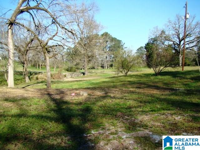 678 Old Sulphur Springs Road, Unit 2 Wellington, AL 36279 - Photo 4 of 11