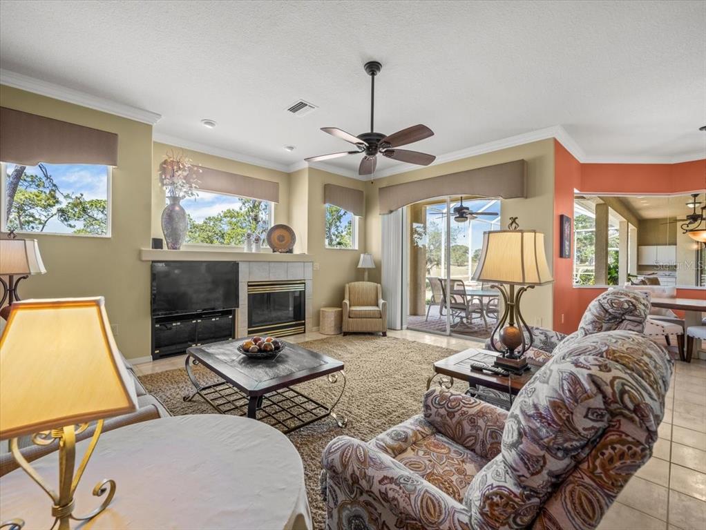 9216 Tarleton Circle Weeki Wachee, FL 34613 - Photo 41 of 66 a living room with furniture a flat screen tv and a fireplace