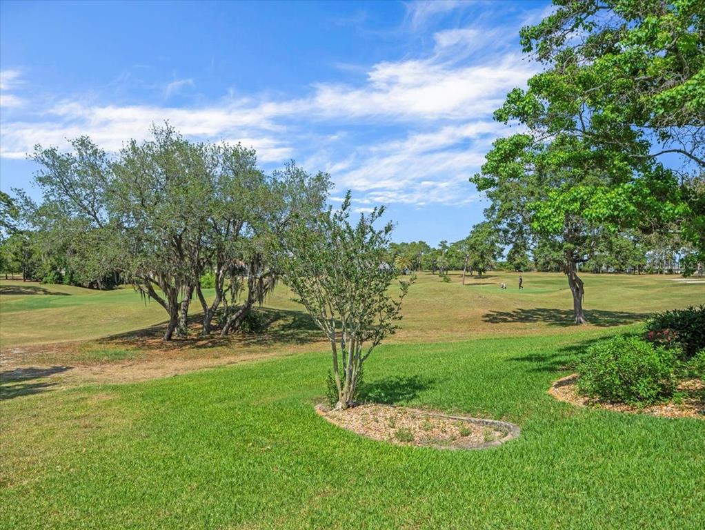 9216 Tarleton Circle Weeki Wachee, FL 34613 - Photo 51 of 66 a view of a garden with a lake