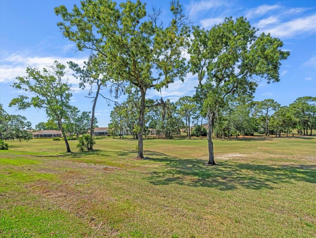 9216 Tarleton Circle Weeki Wachee, FL 34613 - Photo 52 of 66 a view of a yard with a tree