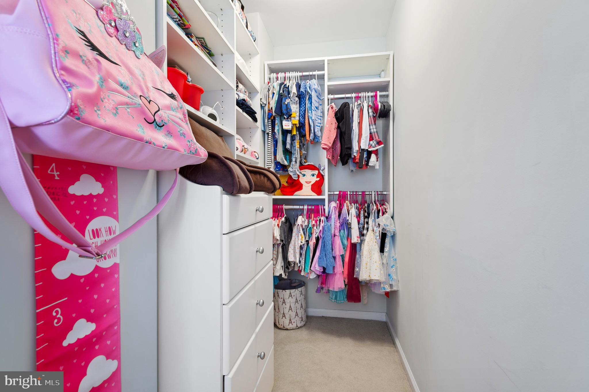 339 Watkins Road Pennington, NJ 08534 - Photo 20 of 32 a view of walk in closet with clothes