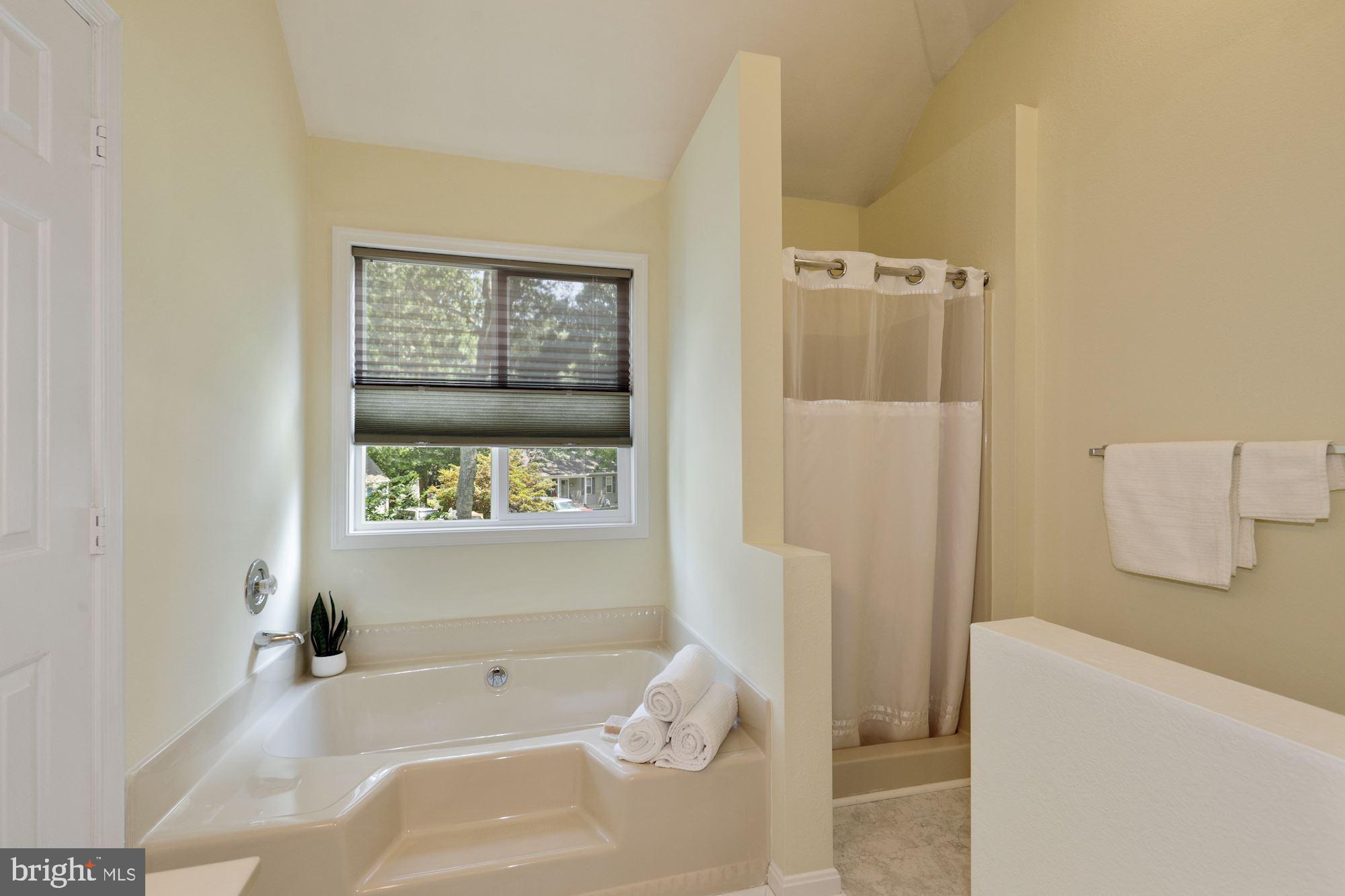 24 Port Royal Road Ocean View, DE 19970 - Photo 25 of 39 En-Suite Bath with Soaking Tub and Shower