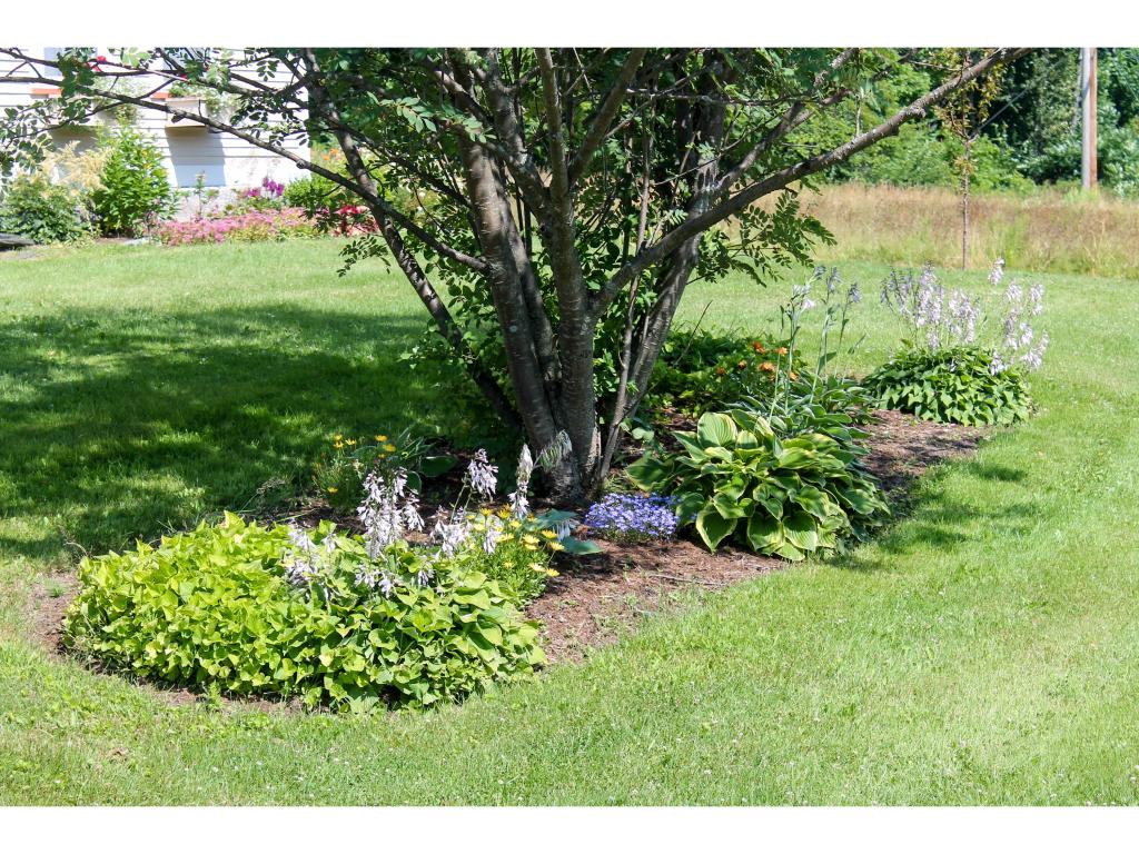 25 Jonesville Road Braintree, VT 05669 - Photo 17 of 29 Gallery Image 17
