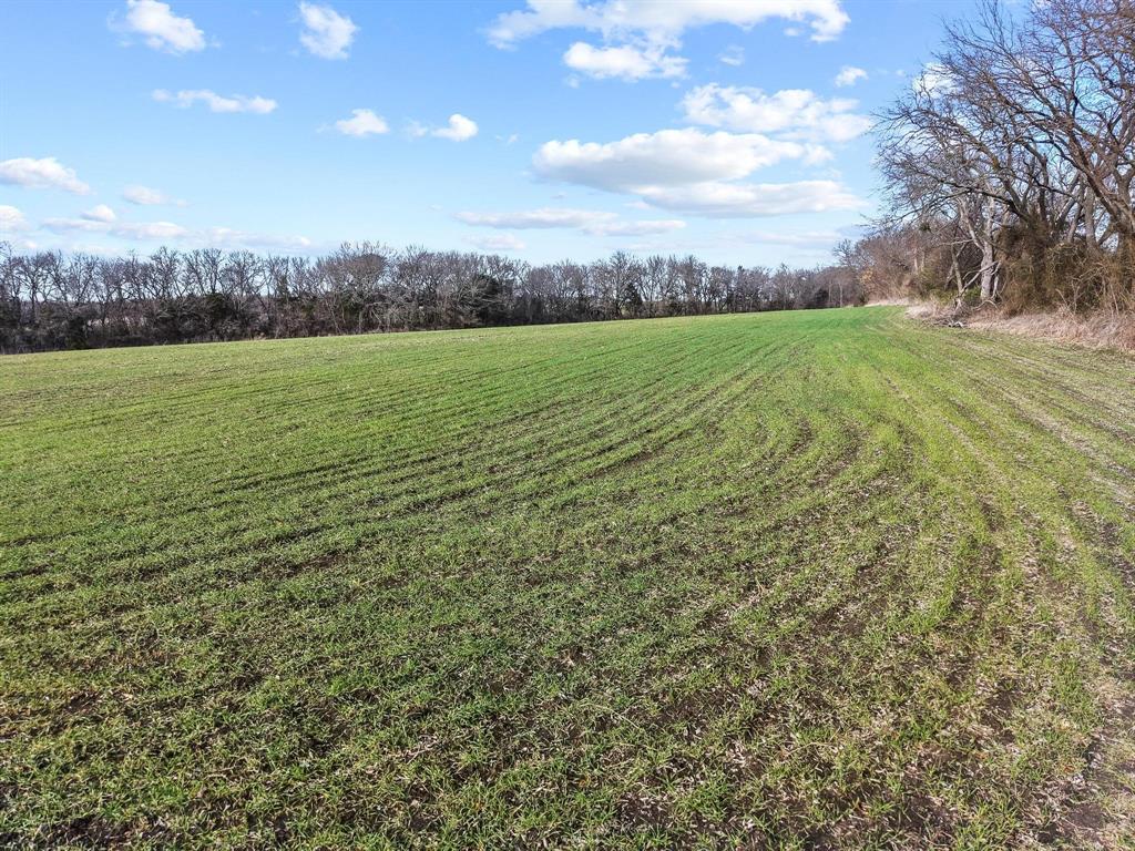 225 Caleb Road Sherman, TX 75090 - Photo 13 of 14