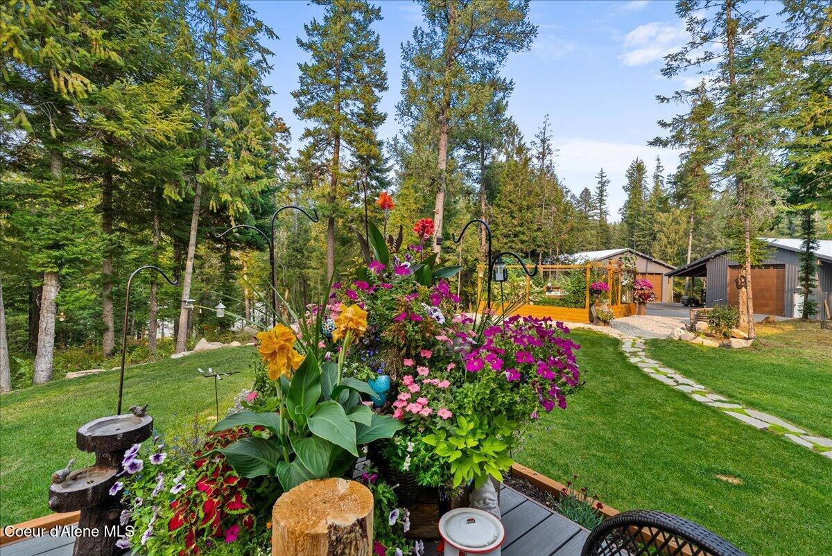529 South Beaver Lake Road Athol, ID 83801 - Photo 67 of 85 Back yard