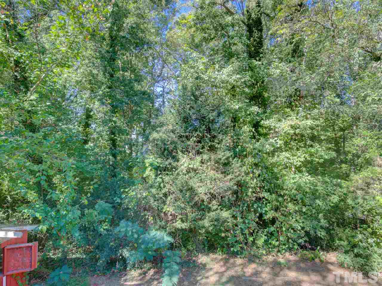 3421 Cheyenne Road Raleigh, NC 27609 - Photo 14 of 25 a view of a forest with a tree