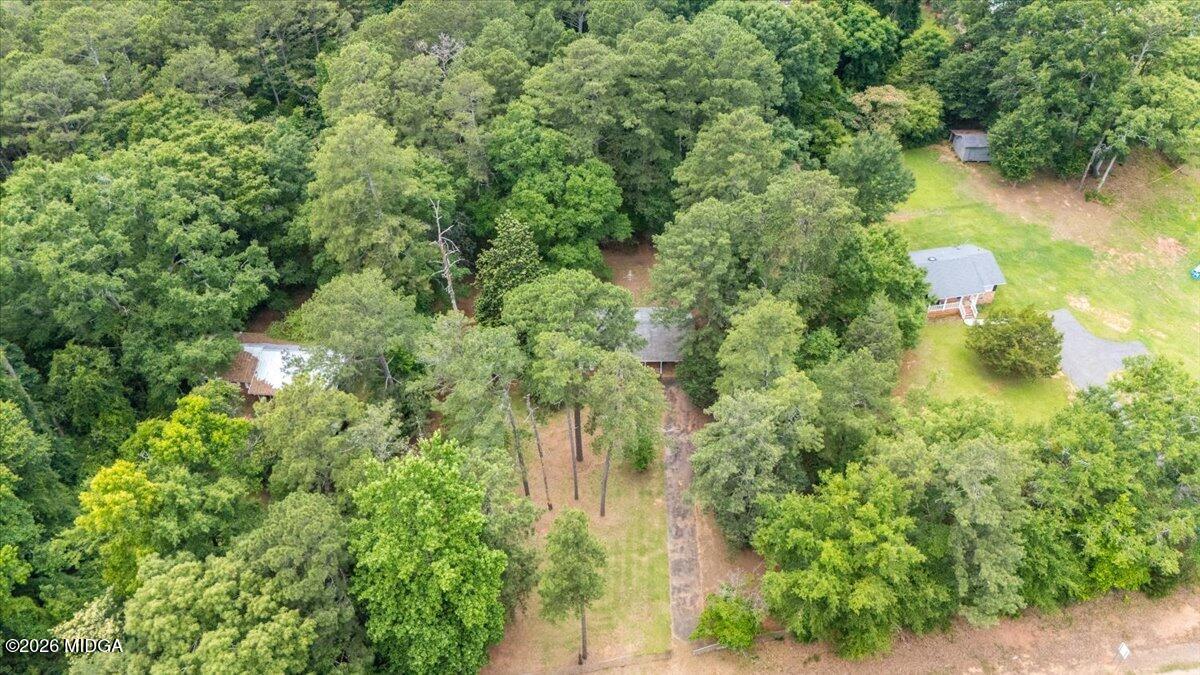 681 Highway 42 Forsyth, GA 31029 - Photo 5 of 12 17-DJI_20260607145027_0058_D