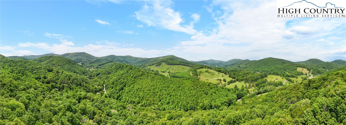 T-1 Grace Mountain Road Todd, NC 28684 - Photo 10 of 28 a view of a city with lush green forest