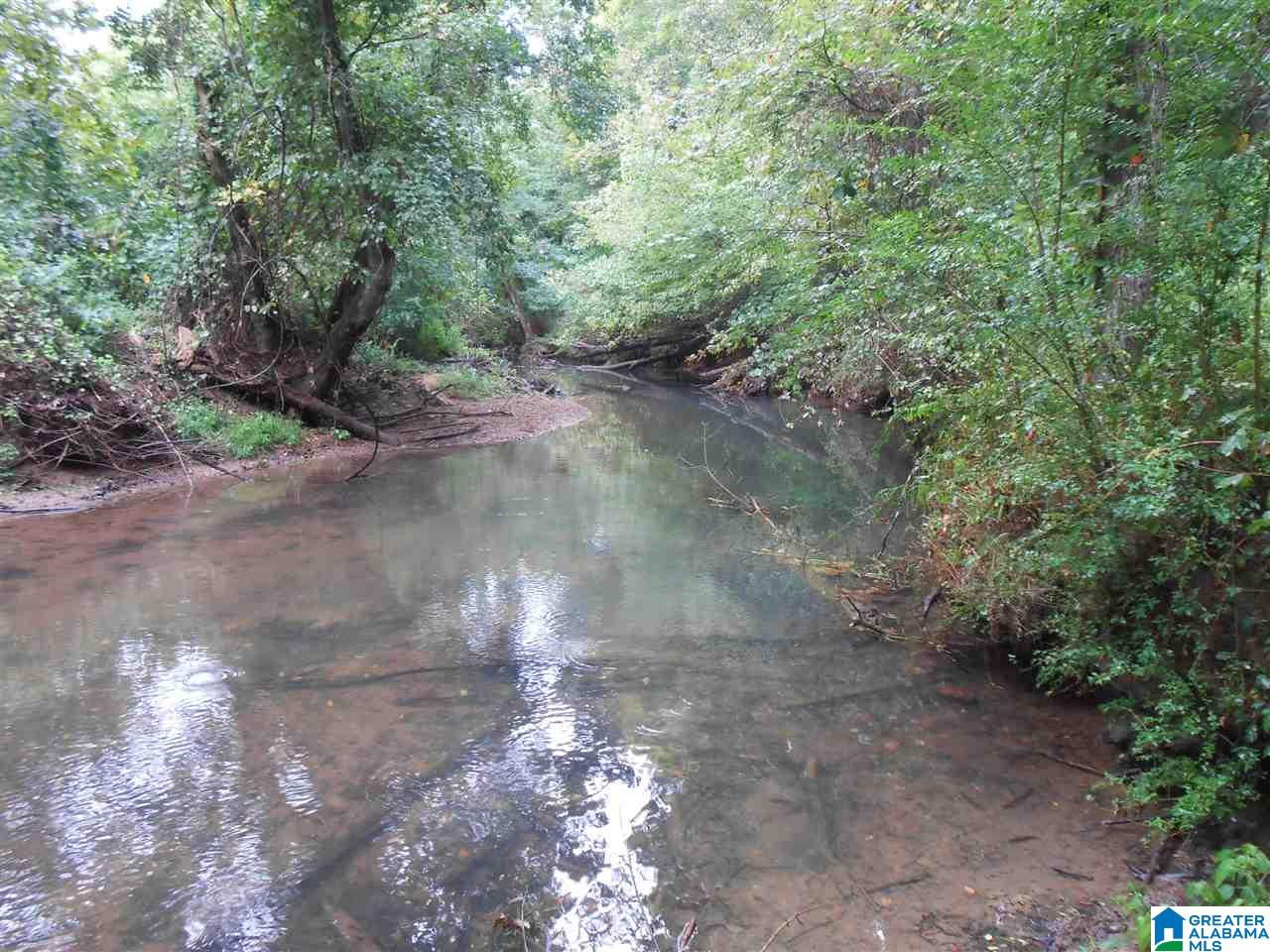 476 Brown Hill Road Steele, AL 35987 - Photo 1 of 18 Gallery Image 1