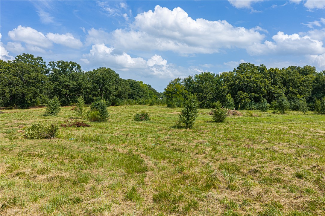 35 Graham Street Lavaca, AR 72941 - Photo 41 of 53 Gallery Image 41