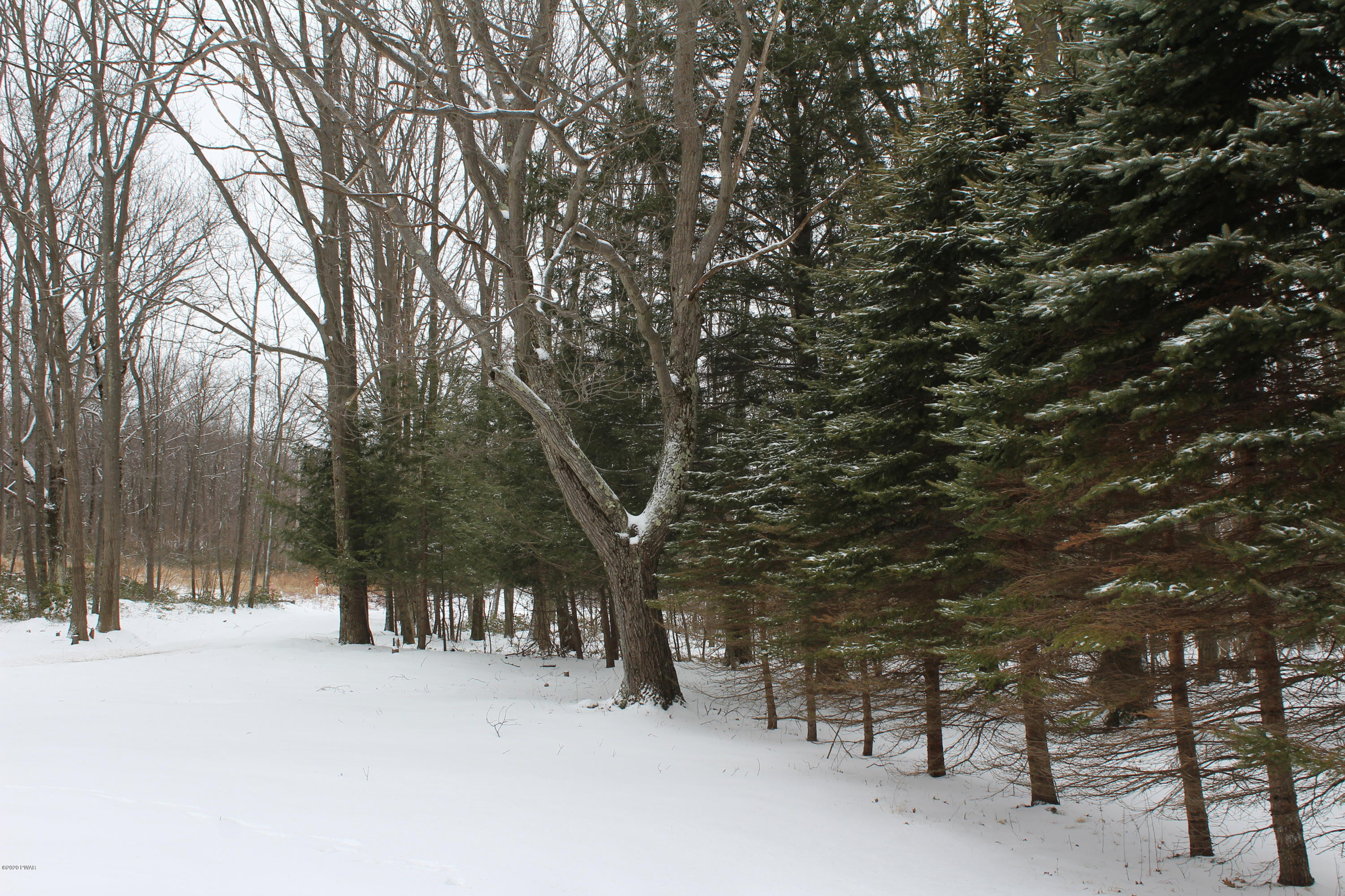 395 Brace Brook Road Forest City, PA 18421 - Photo 43 of 45