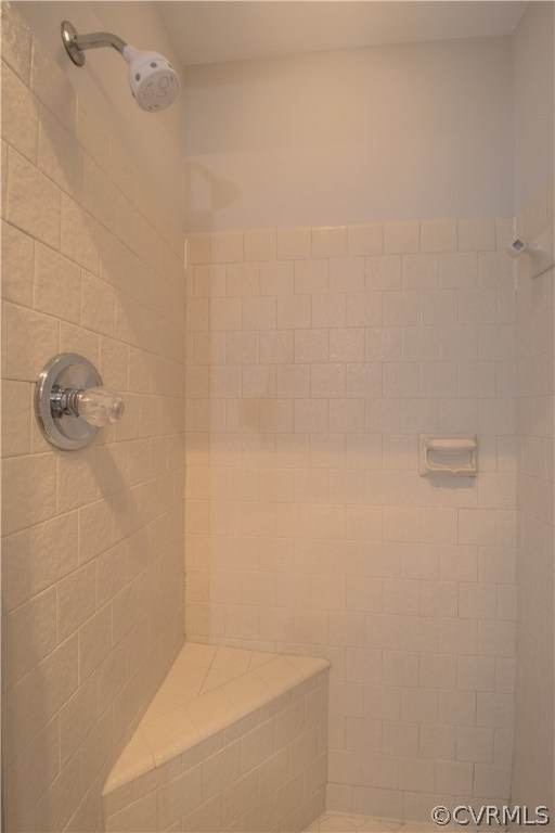 10634 Ramshorn Road Midlothian, VA 23113 - Photo 29 of 41 a bathroom with a shower