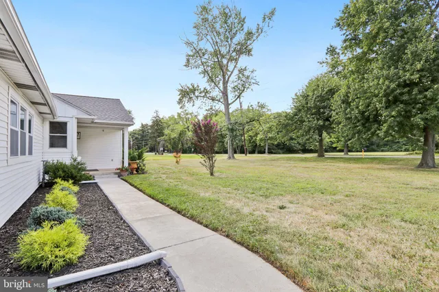 a view of a garden with pathway