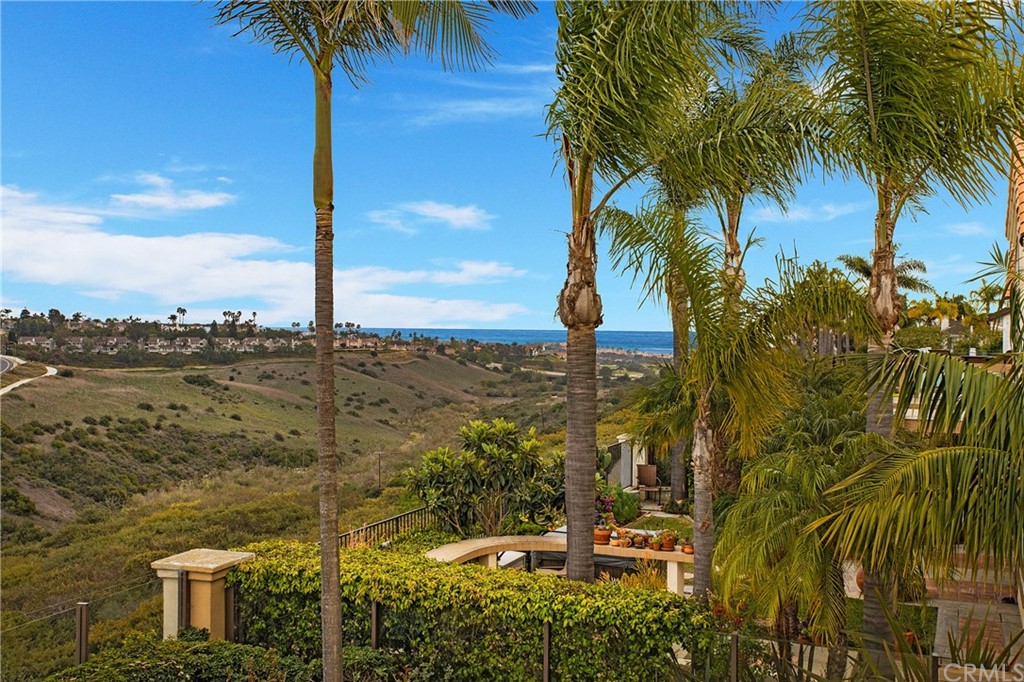 16 Bethany Laguna Niguel, CA 92677 - Photo 9 of 38 a view of a palm tree next to a yard