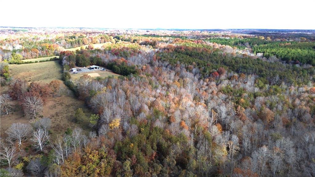 1231 Freeman Road Madison, NC 27025 - Photo 1 of 50