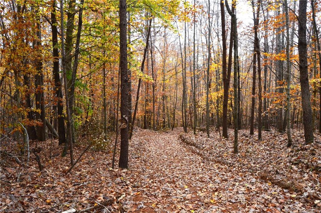 1231 Freeman Road Madison, NC 27025 - Photo 11 of 50
